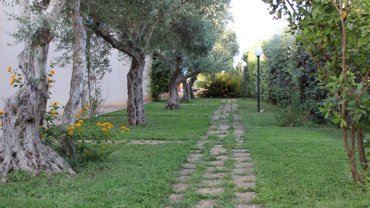 Photo of Outdoor in Marsala