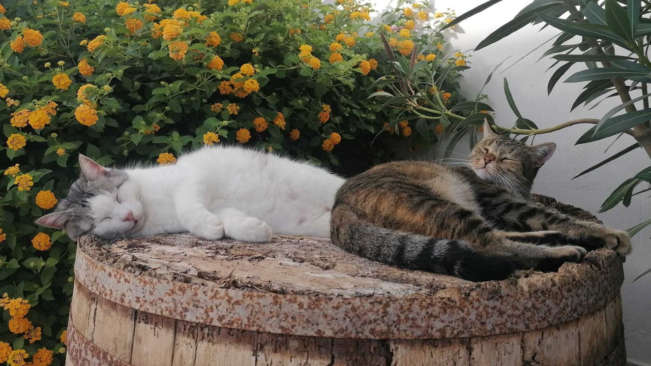 Photo of Outdoor in Marsala