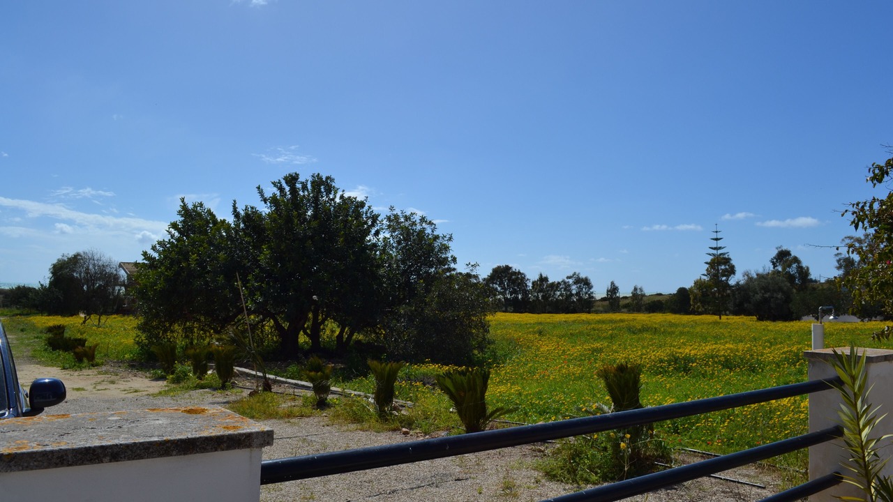 Photo of Outdoor in Sampieri