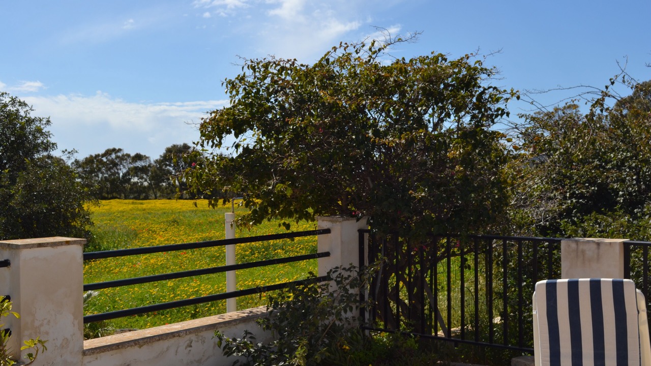 Photo of Outdoor in Sampieri
