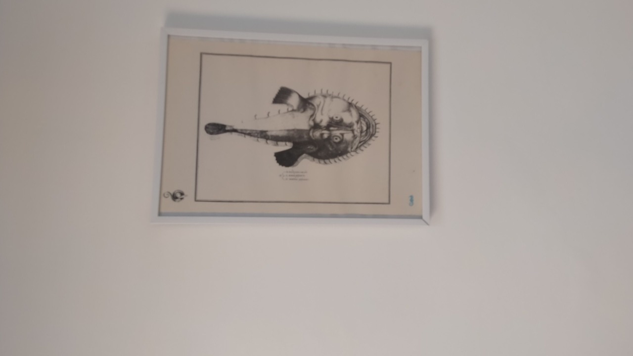 Photo of Others in Torre Colonna-sperone