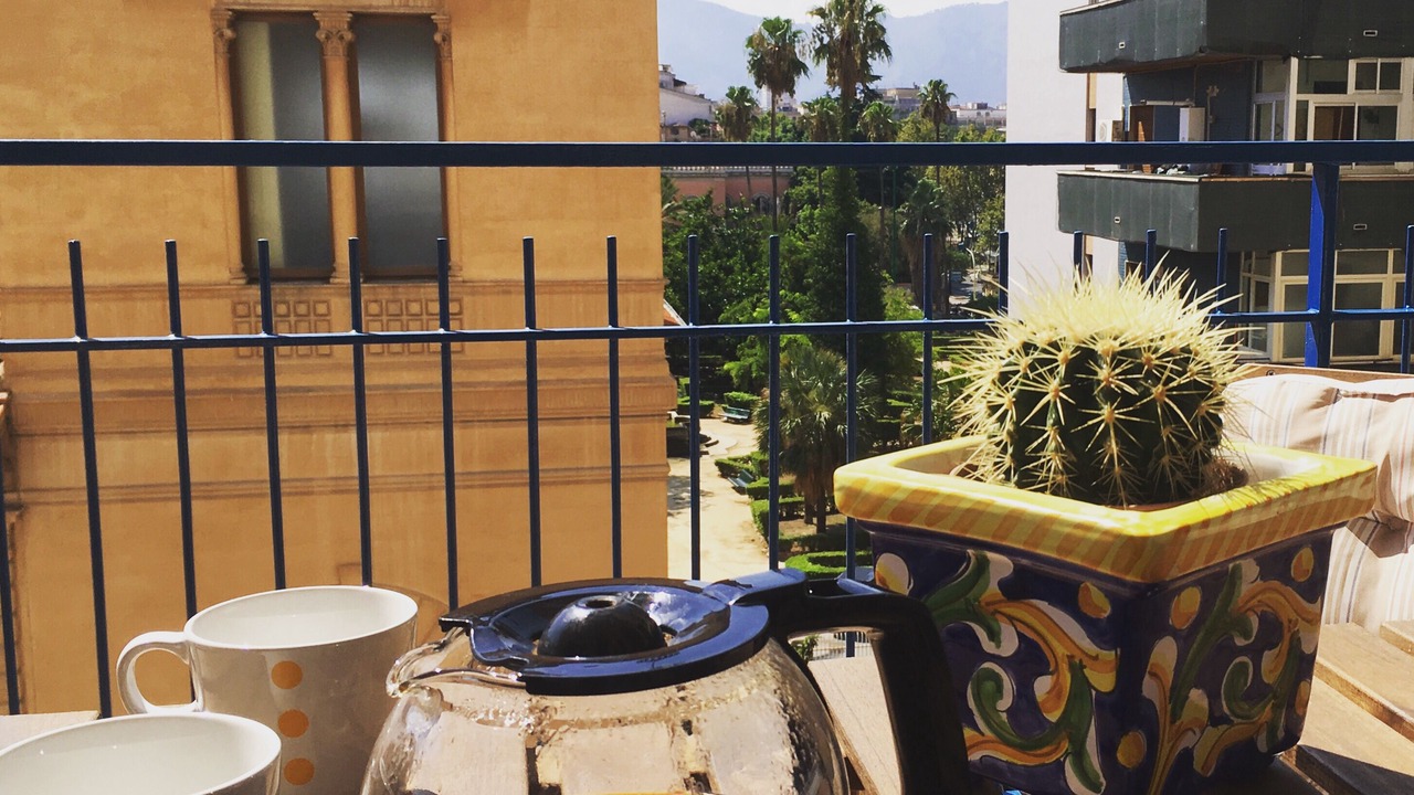 Photo of Outdoor in Palermo