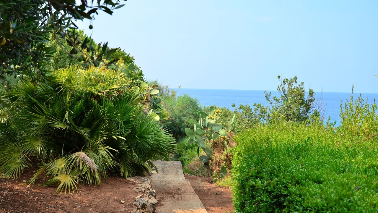 Photo of Outdoor in Scopello