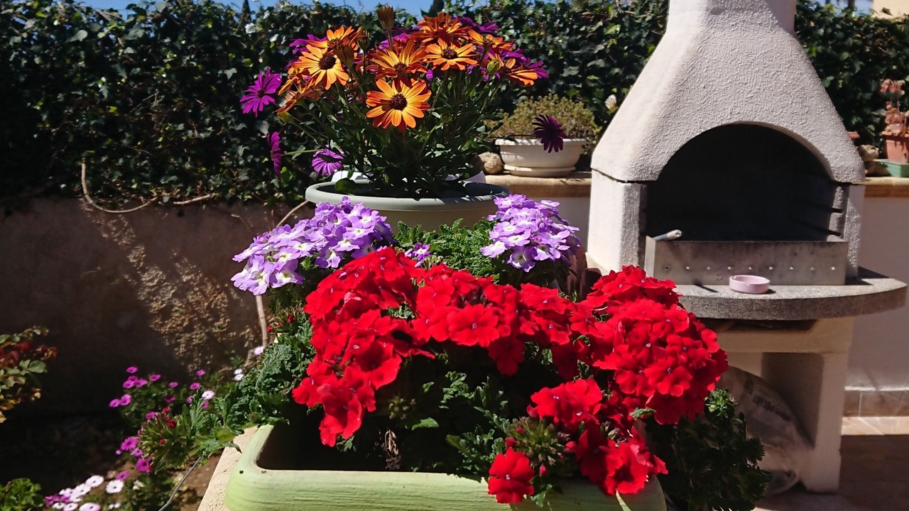 Photo of Outdoor in Marinella di Selinunte