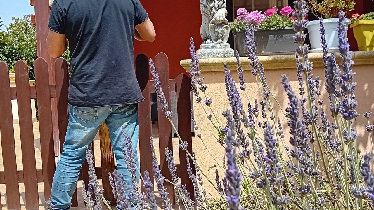 Photo of Outdoor in Marinella di Selinunte