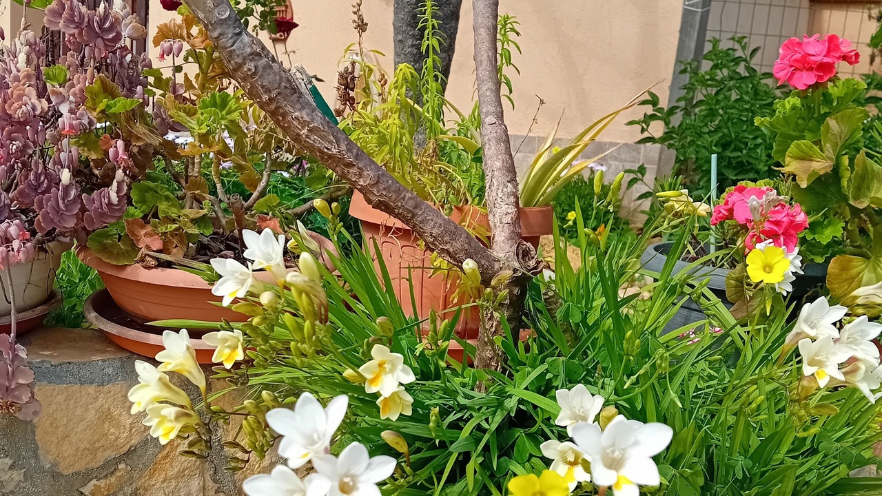 Photo of Outdoor in Marinella di Selinunte