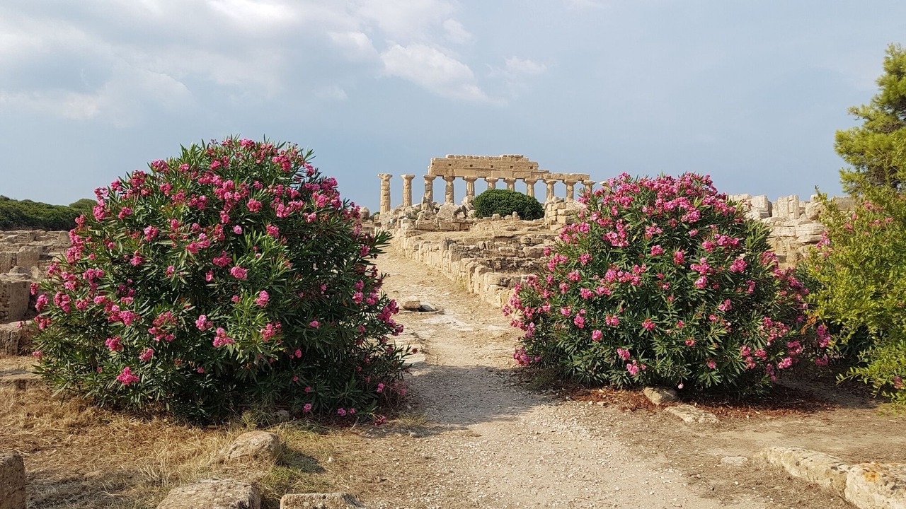 Photo of Others in Marinella di Selinunte