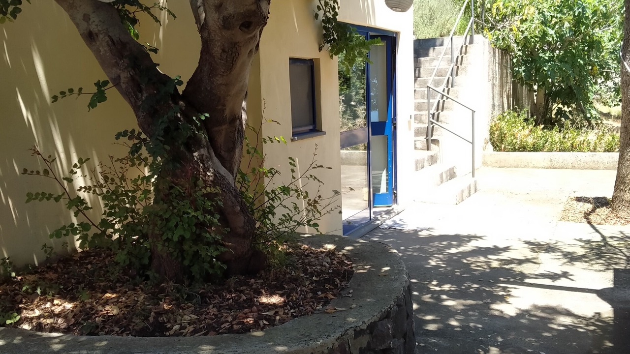 Photo of Outdoor in Leni