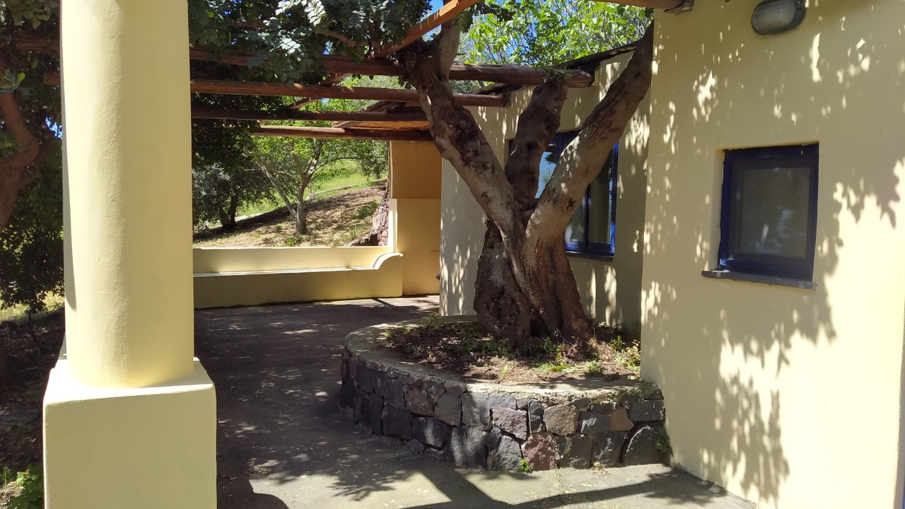 Photo of Outdoor in Leni