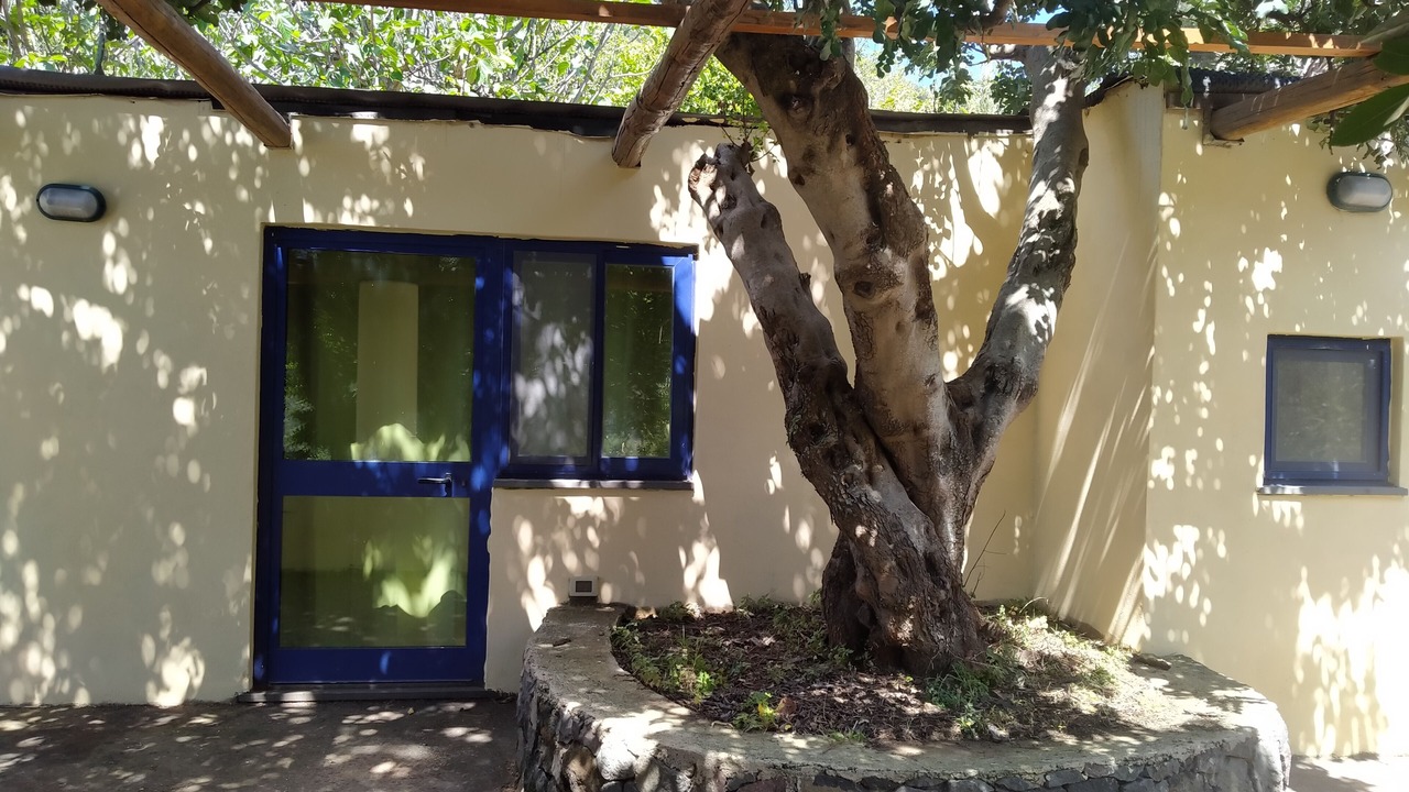 Photo of Outdoor in Leni