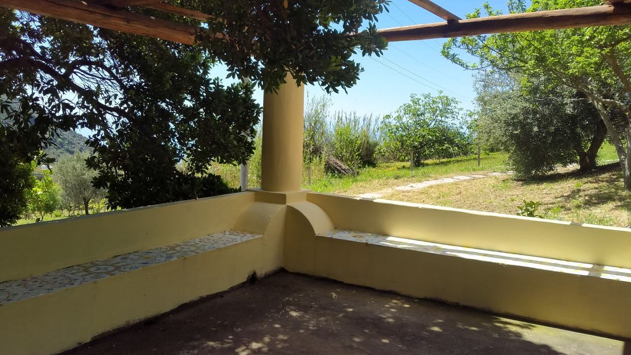 Photo of Outdoor in Leni