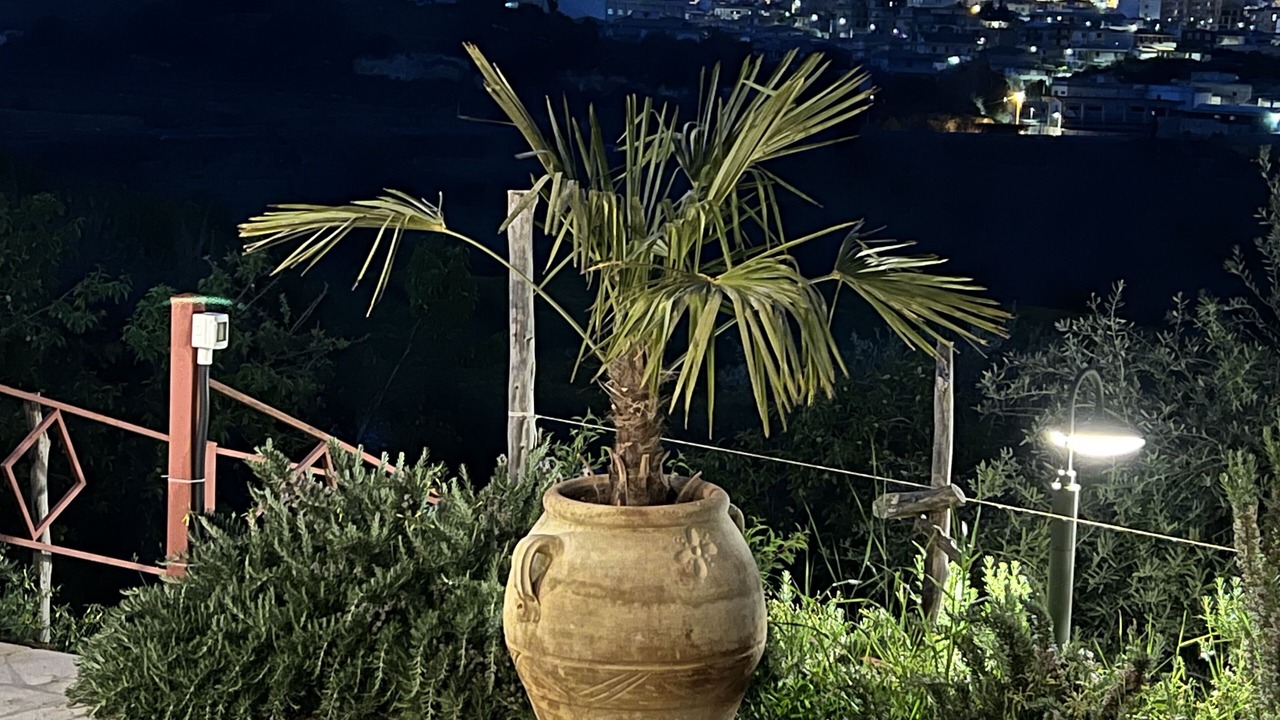 Photo of Outdoor in Noto