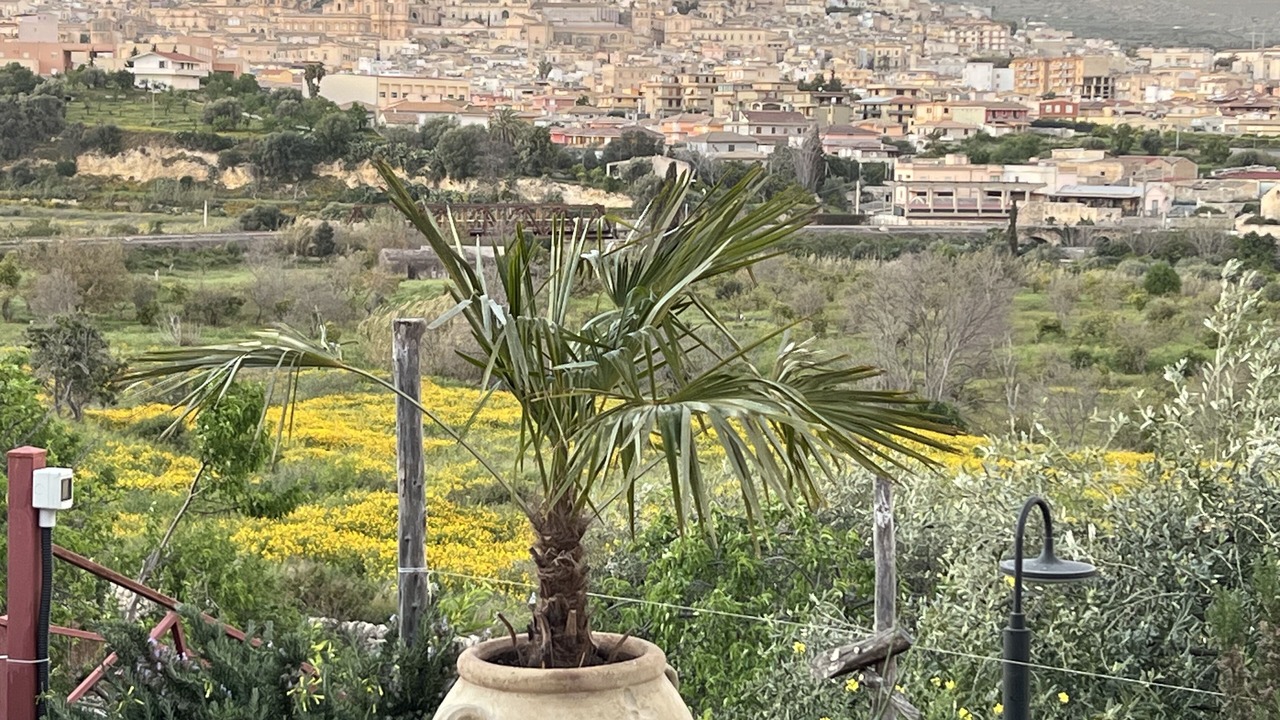 Photo of Outdoor in Noto