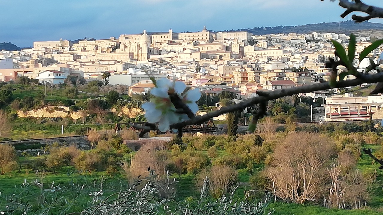 Photo of Others in Noto