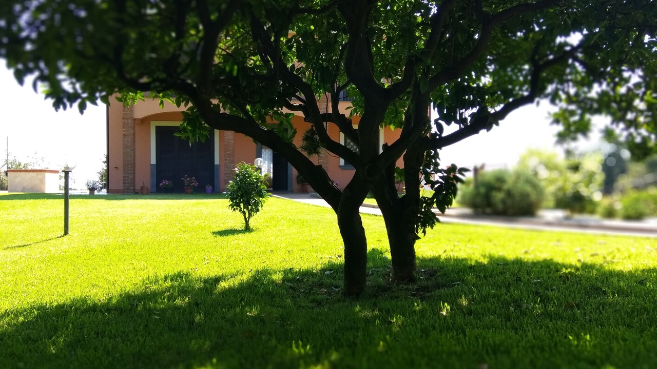 Photo of Outdoor in Pennisi
