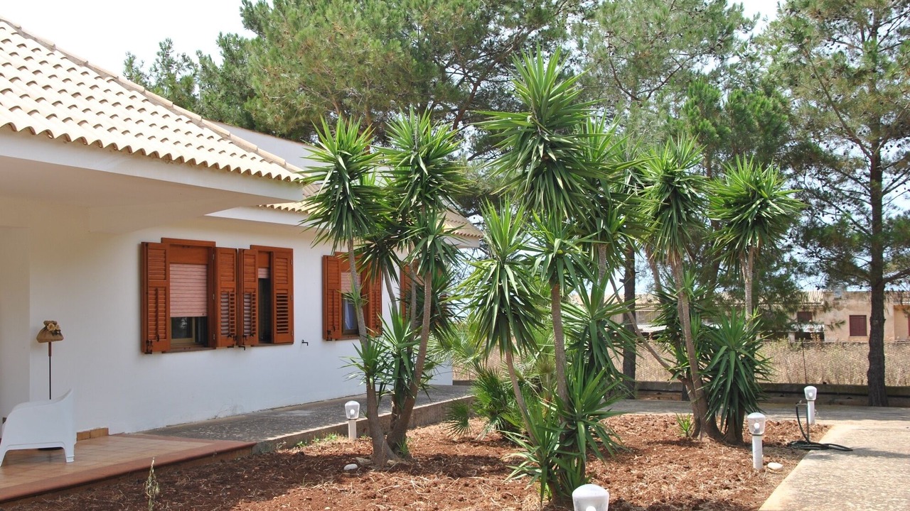 Photo of Outdoor in Castelluzzo