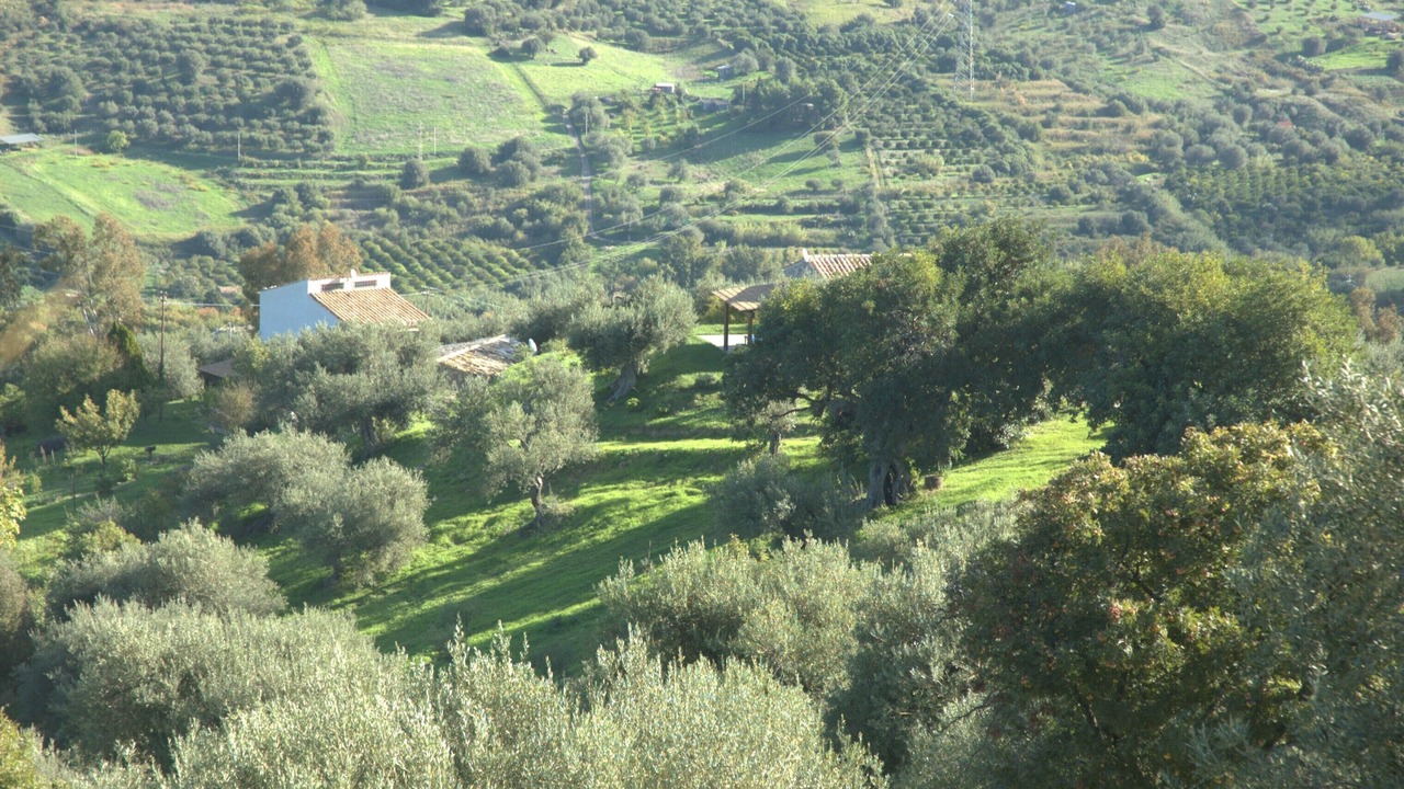 Photo of Outdoor in Collesano