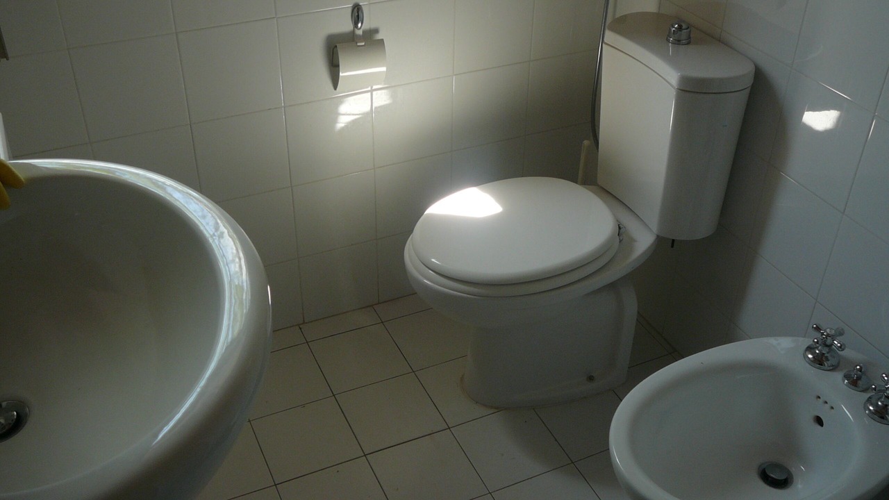 Photo of Bathroom in Reitani