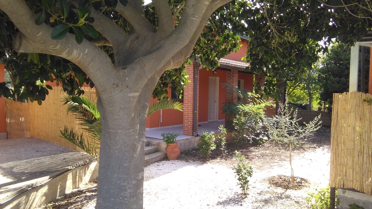 Photo of Outdoor in Reitani