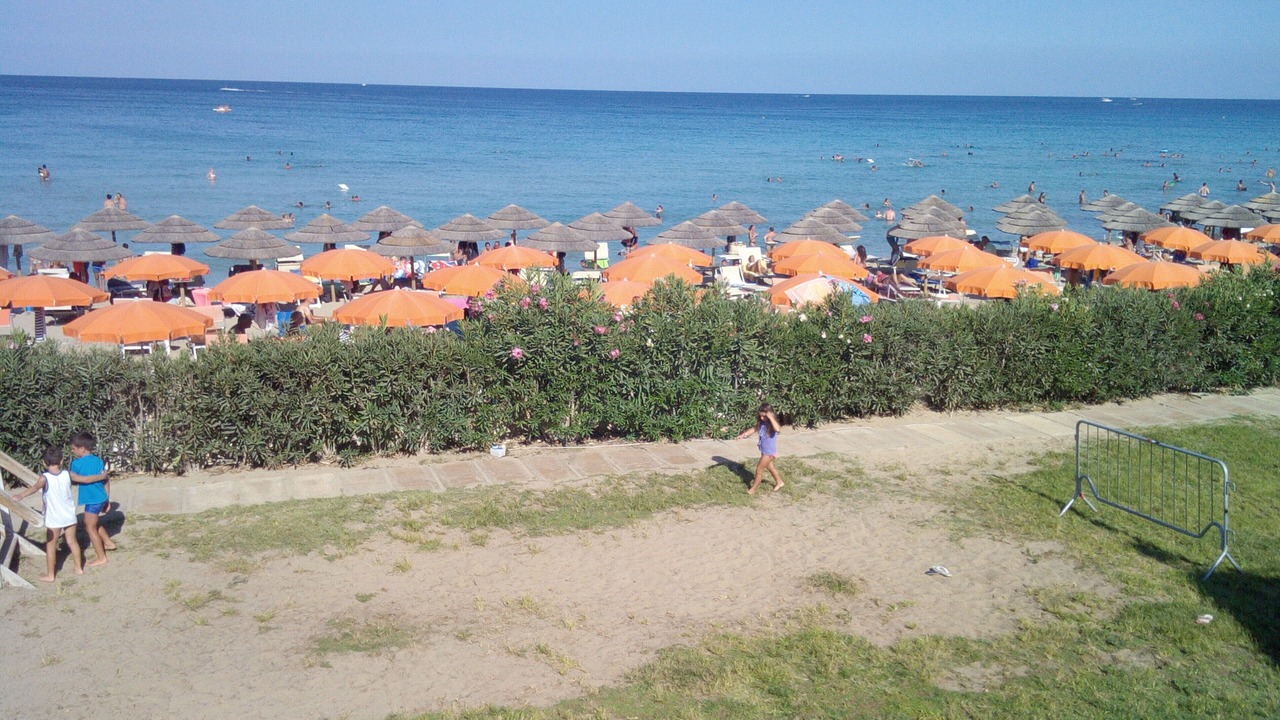 Photo of Others in Reitani