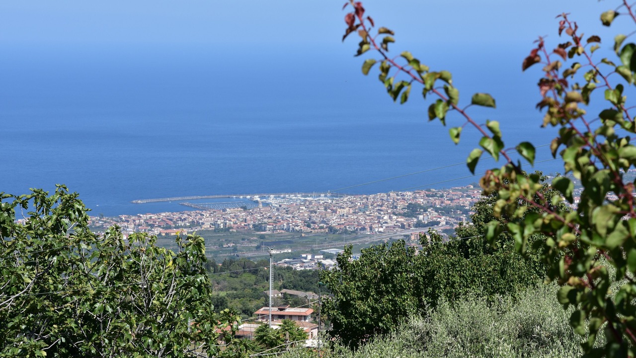 Photo of Others in Coste