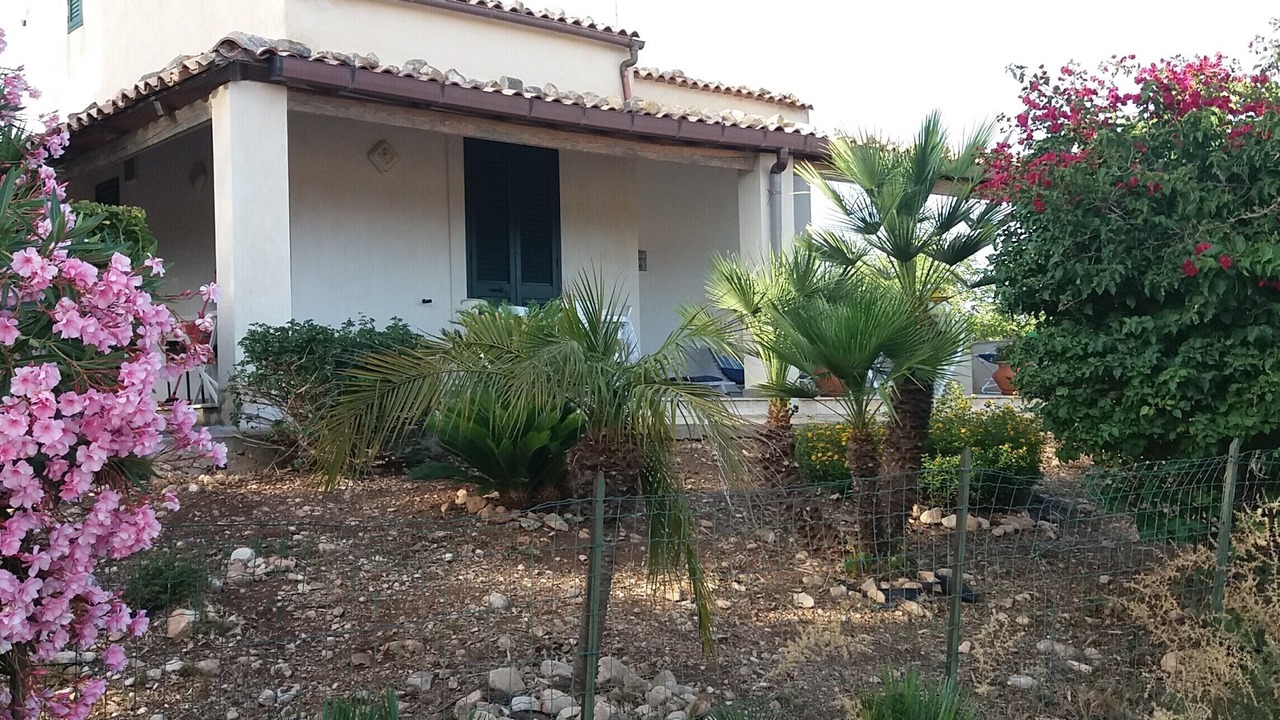 Photo of Outdoor in Sampieri