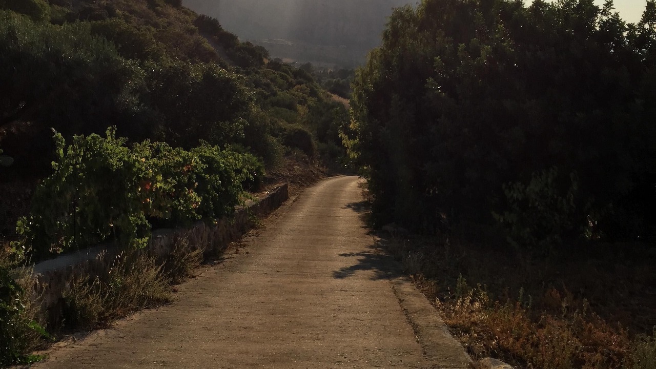 Photo of Outdoor in Custonaci