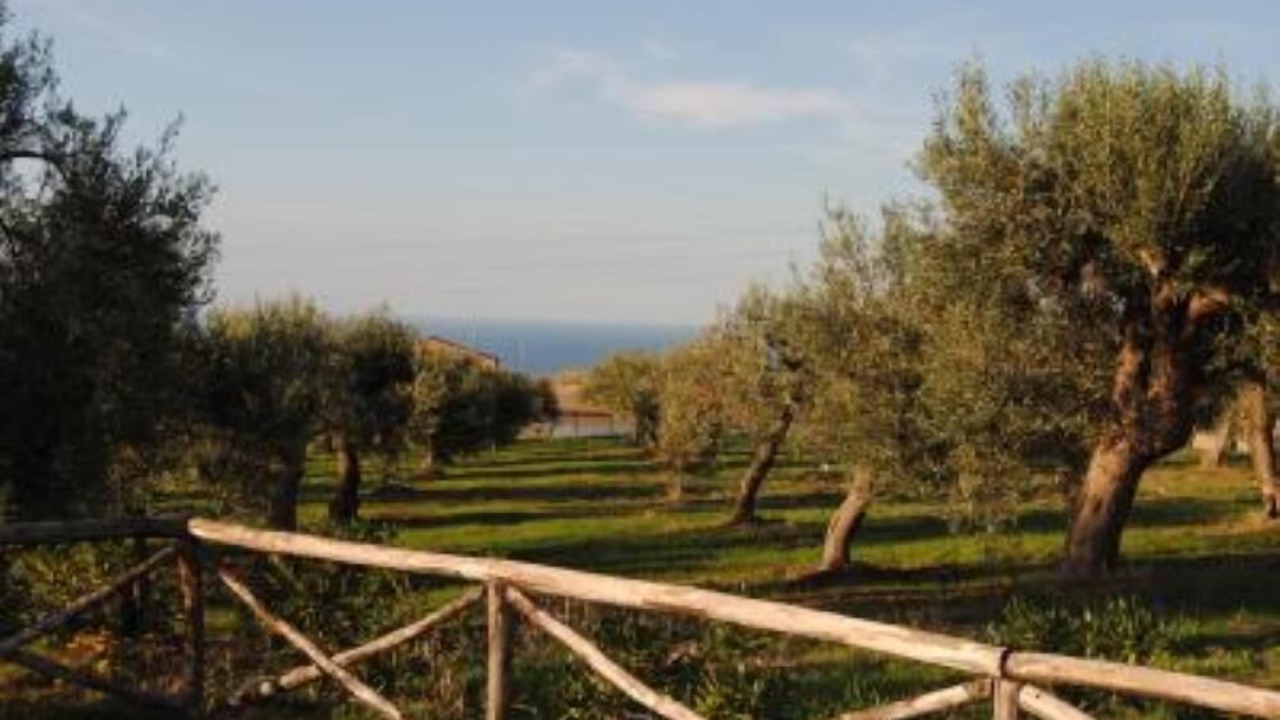 Photo of Others in Collesano
