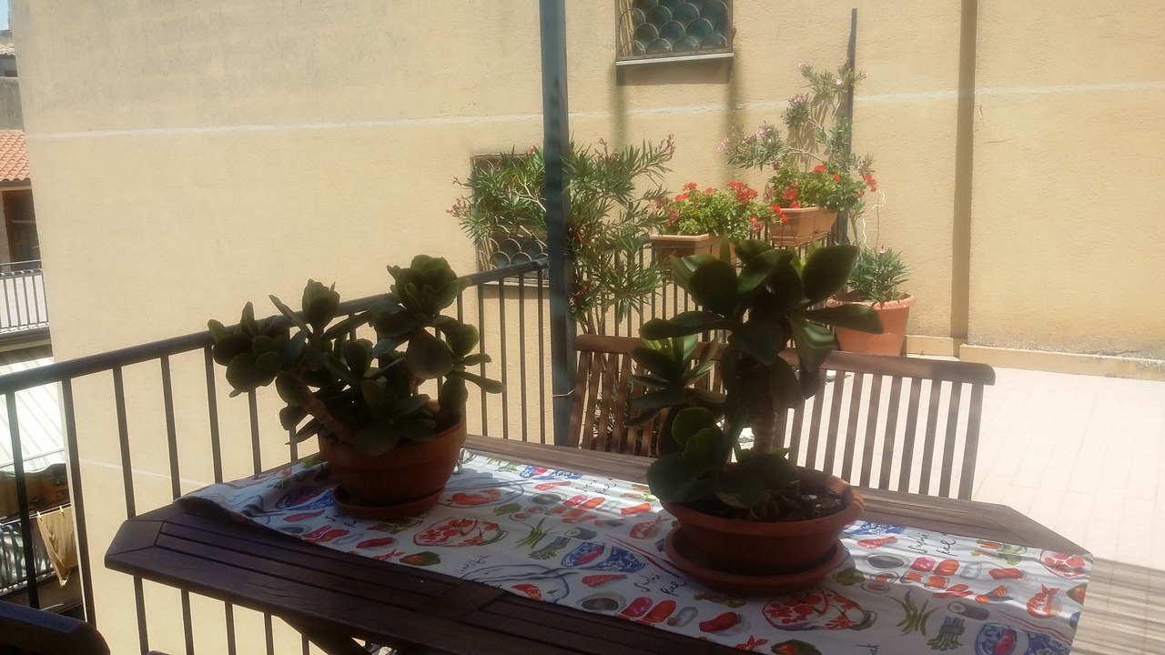 Photo of Outdoor in Mazzarino