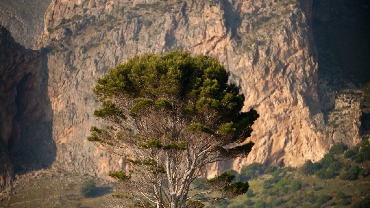 Photo of Others in Custonaci