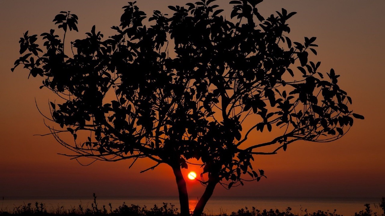 Photo of Outdoor in Custonaci