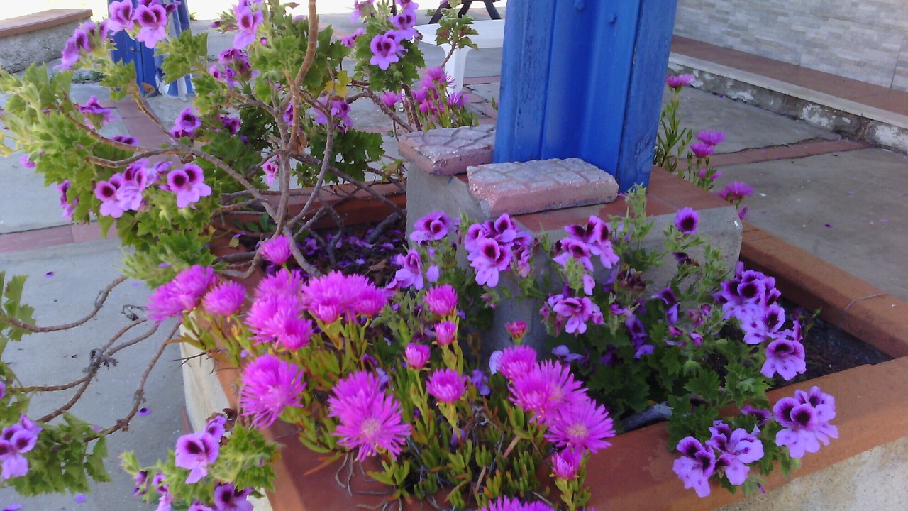 Photo of Outdoor in Punta Milocca