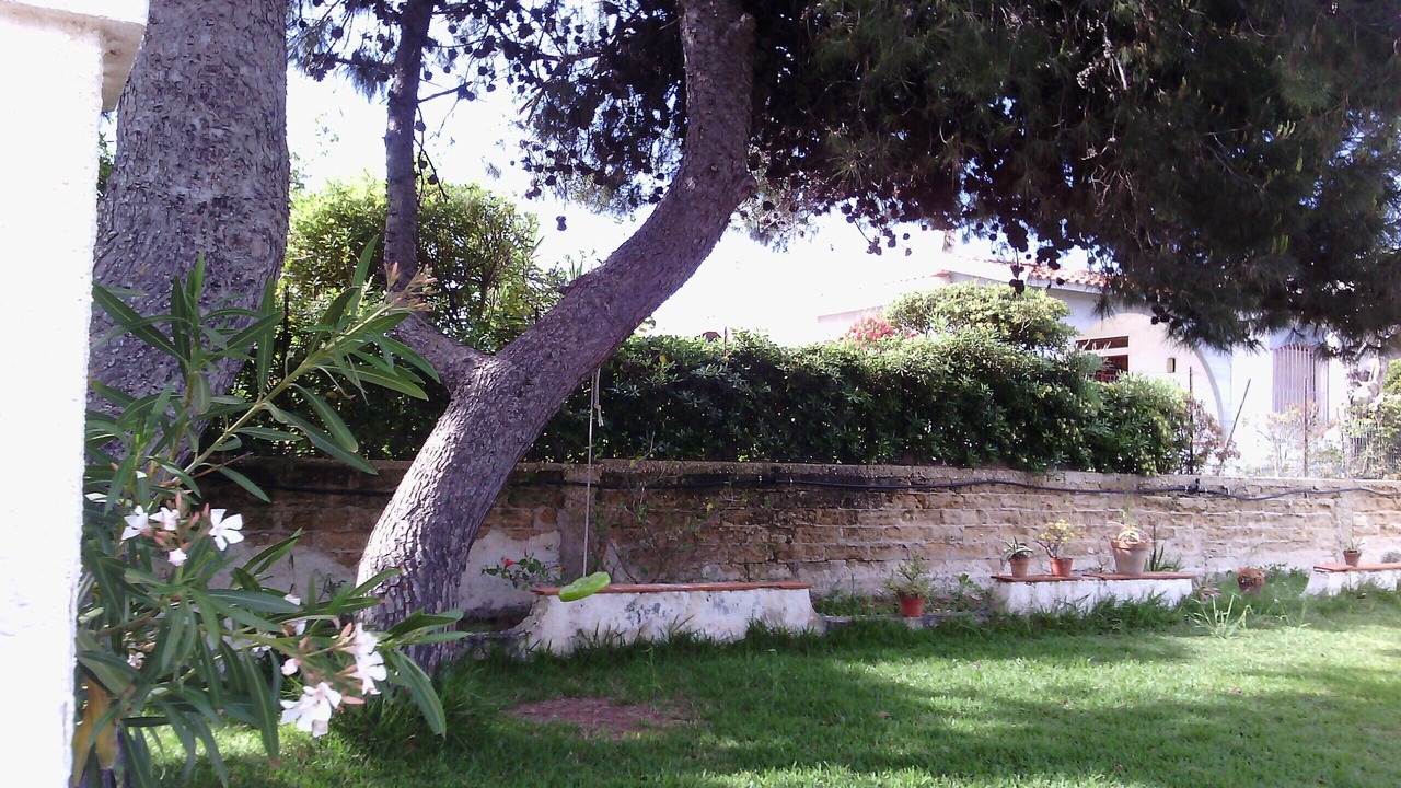 Photo of Outdoor in Punta Milocca