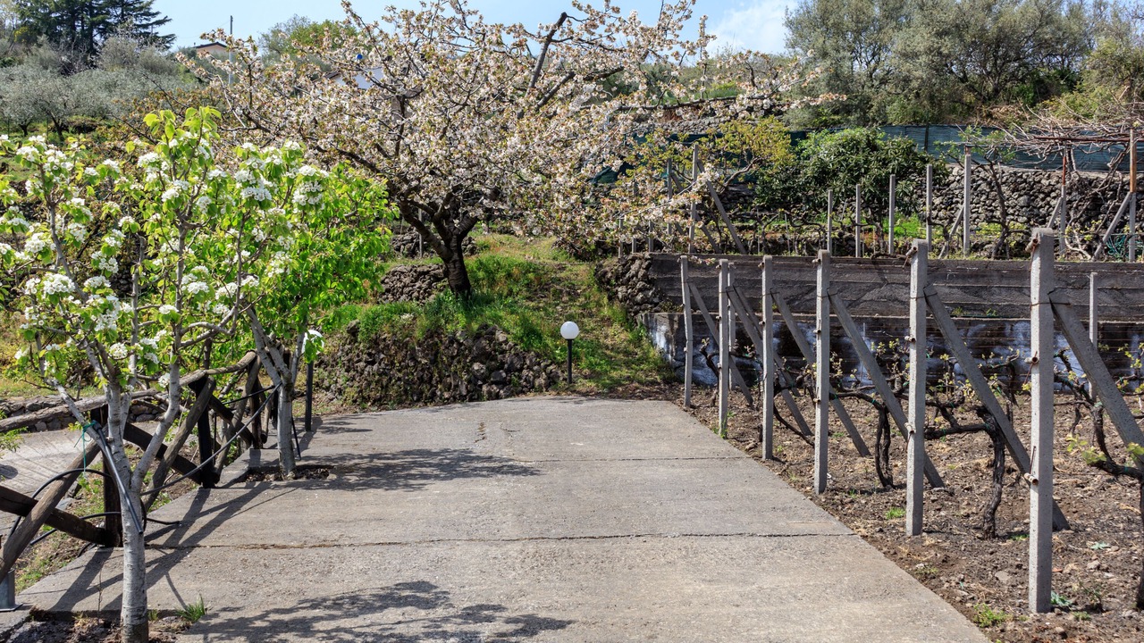Photo of Outdoor in Piedimonte Etneo