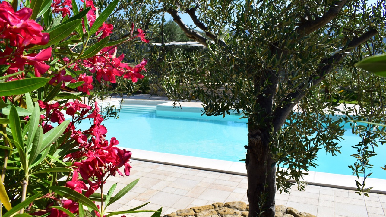 Photo of Outdoor in Mitogio