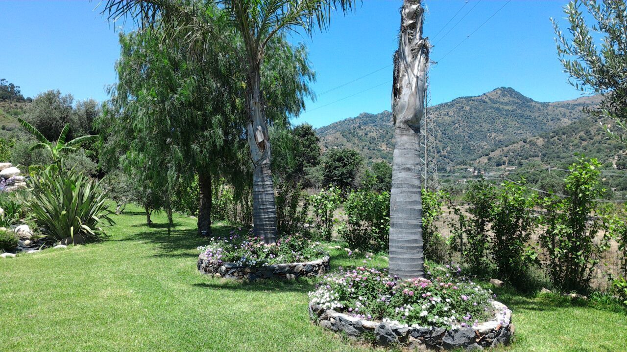 Photo of Outdoor in Mitogio