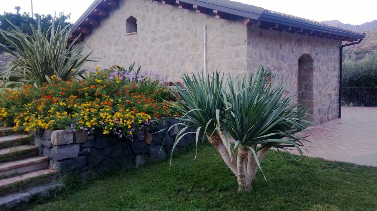 Photo of Outdoor in Mitogio