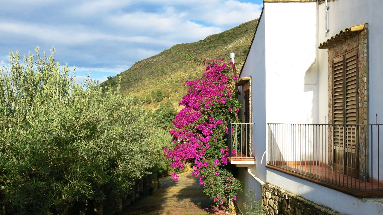 Photo of Outdoor in Castellammare del Golfo