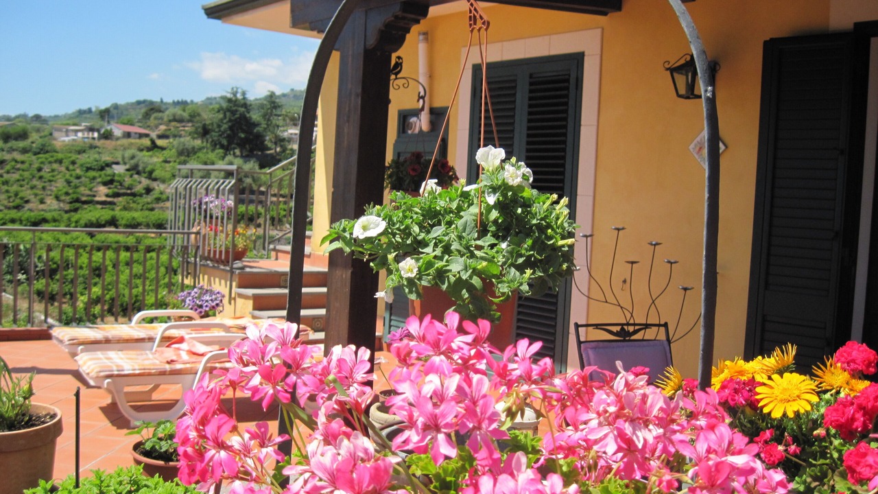 Photo of Outdoor in Mascali