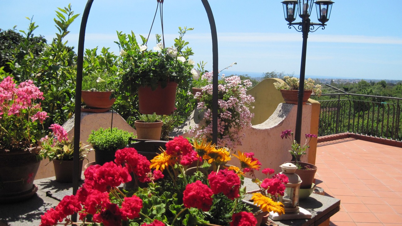 Photo of Outdoor in Mascali