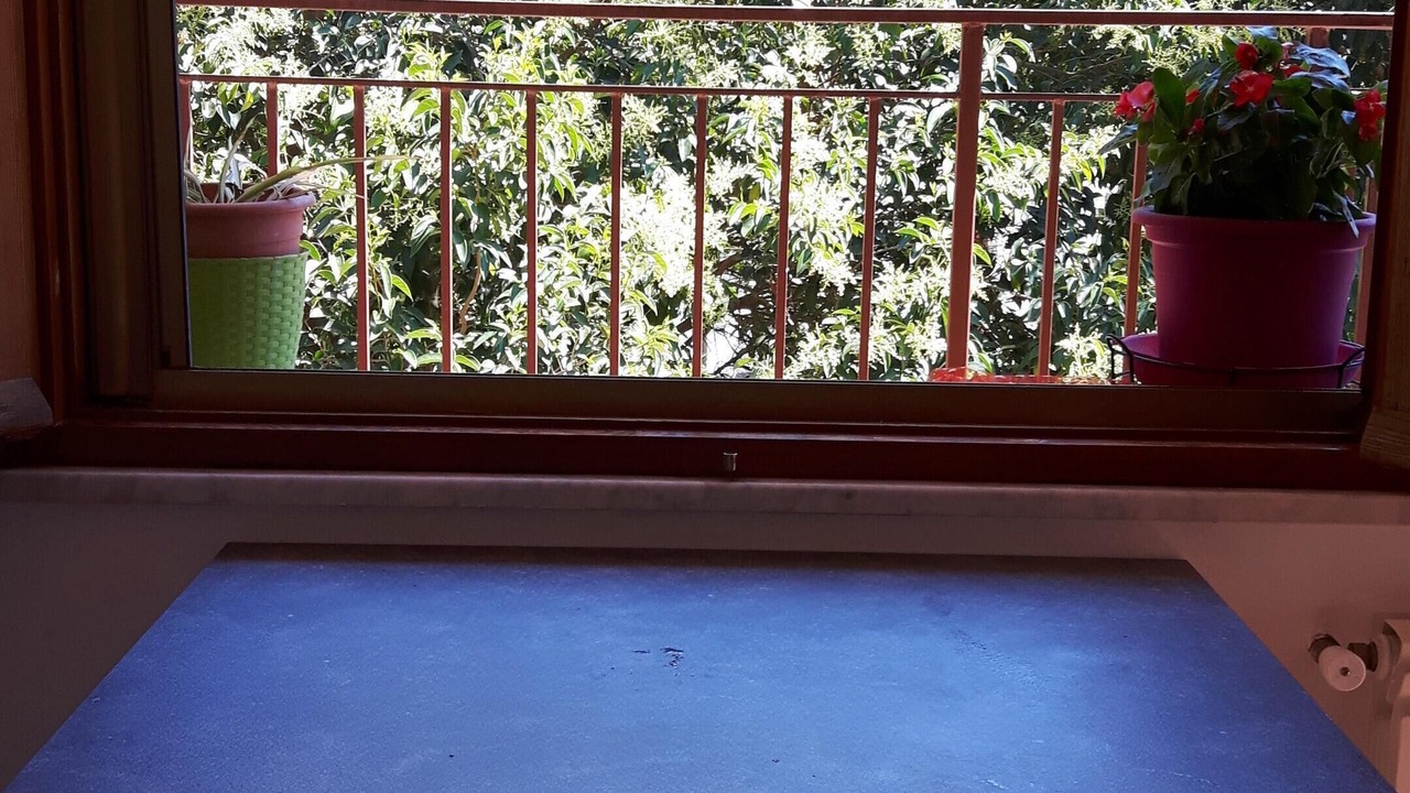 Photo of Others in Palermo