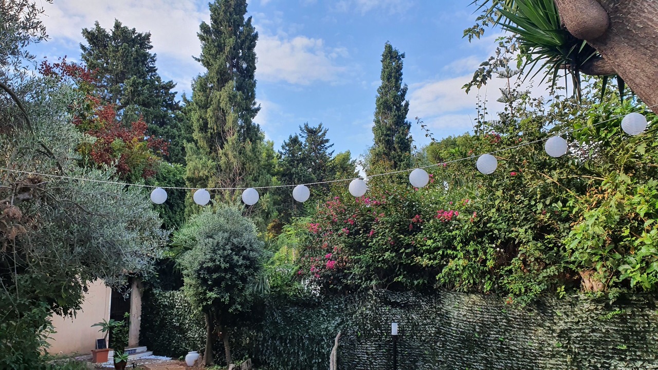 Photo of Outdoor in Palermo