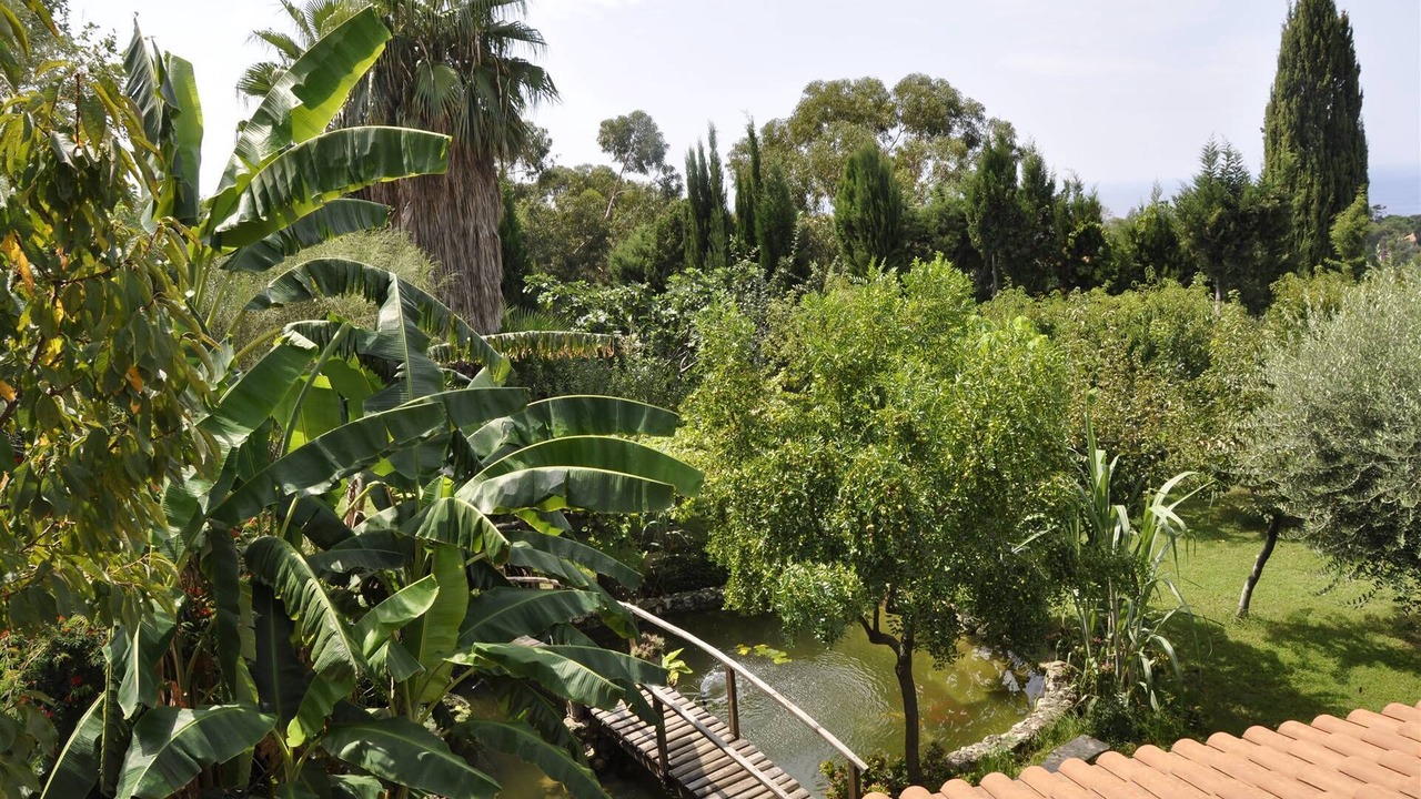 Photo of Outdoor in Santa Domenica