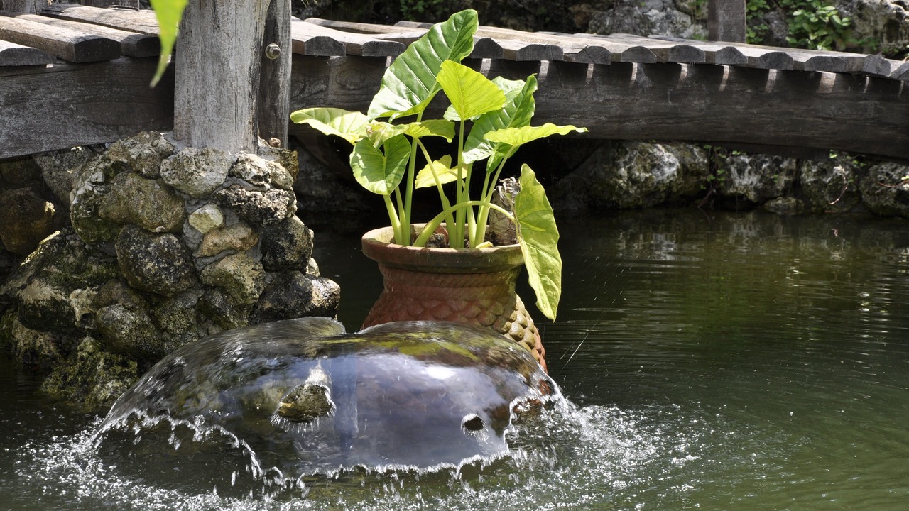 Photo of Outdoor in Santa Domenica