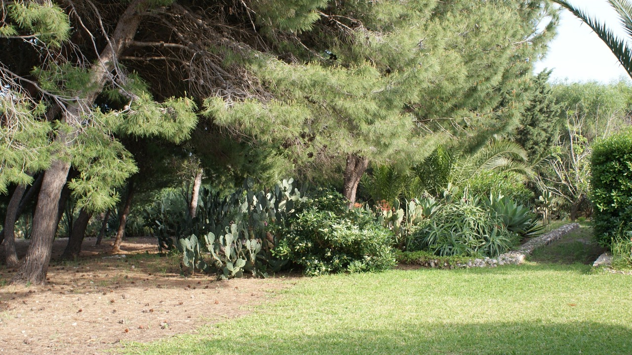 Photo of Outdoor in Augusta