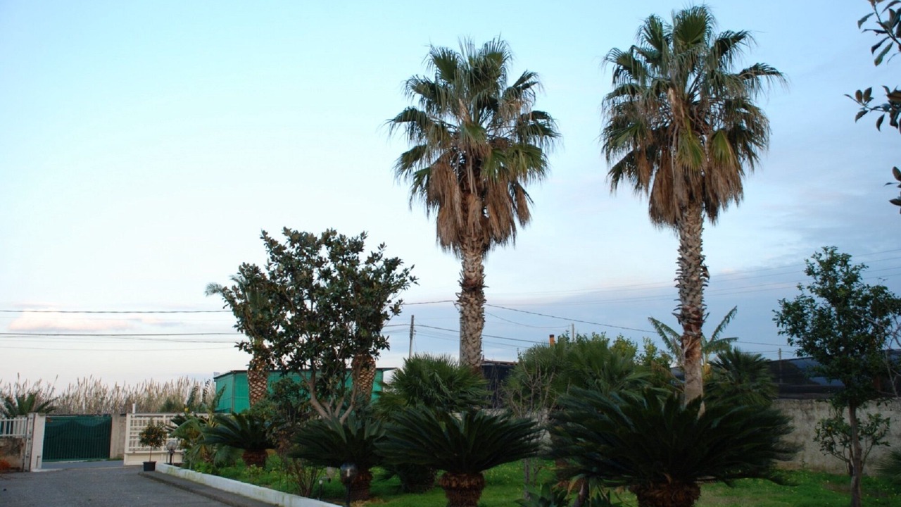 Photo of Outdoor in Vigliatore