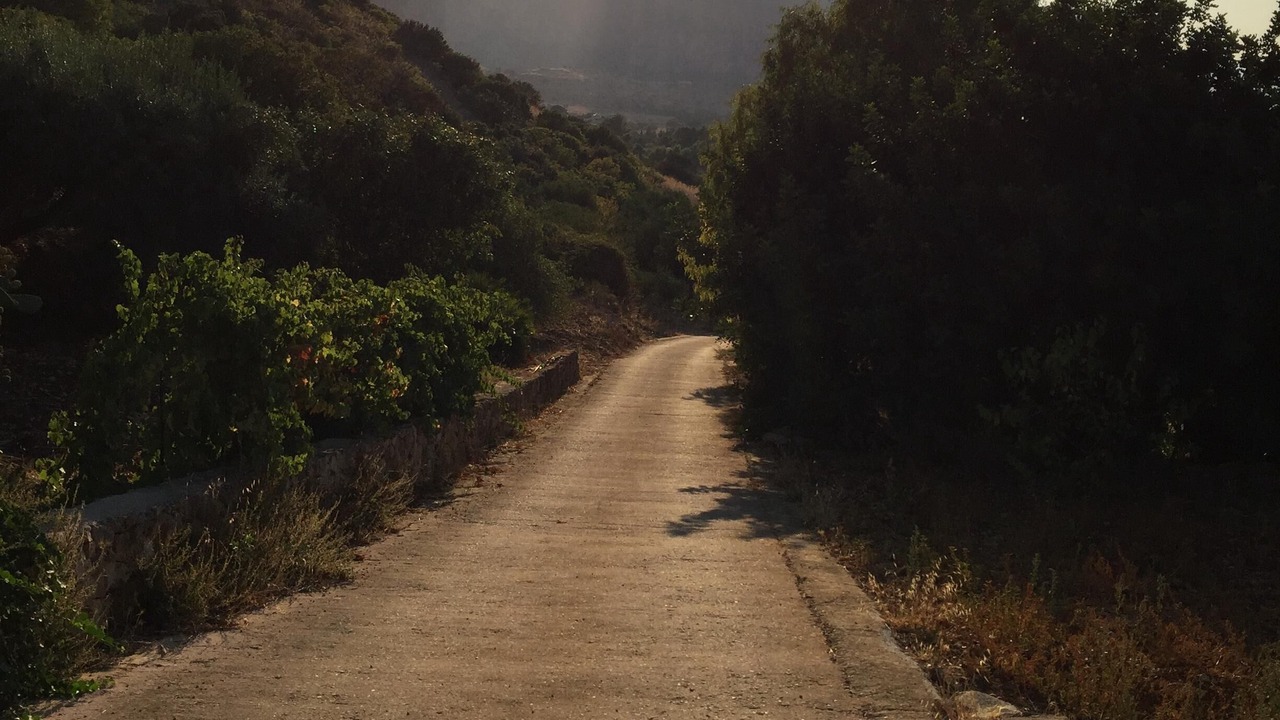 Photo of Outdoor in Custonaci