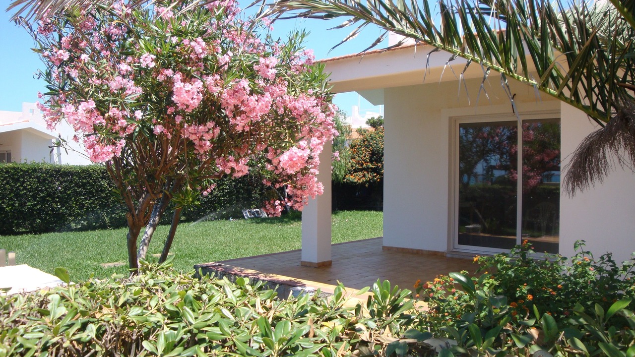 Photo of Outdoor in Punta Braccetto