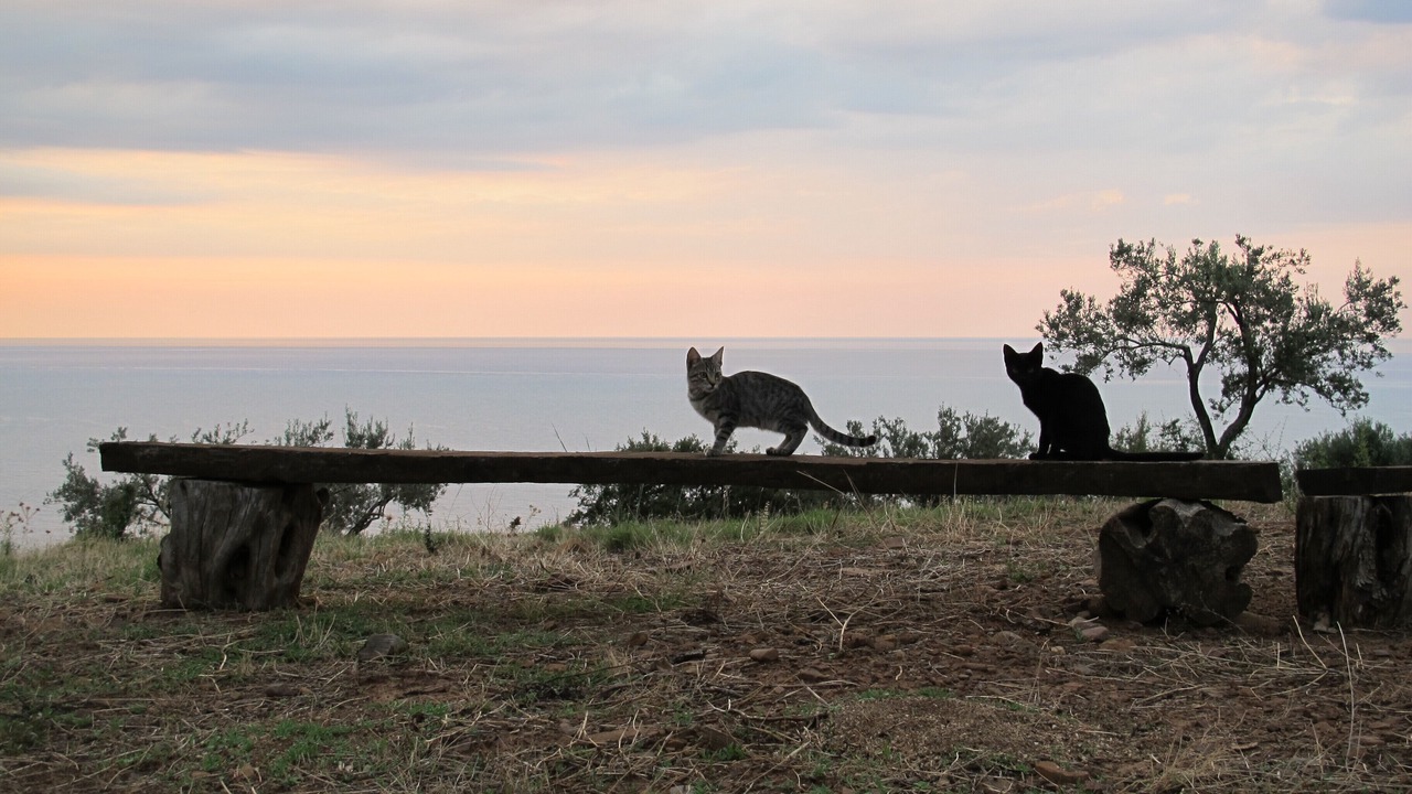 Photo of Outdoor in Caronia