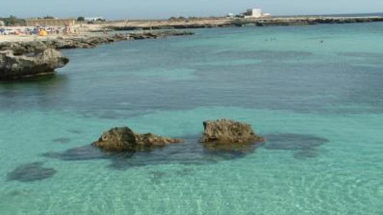 Photo of Others in Favignana